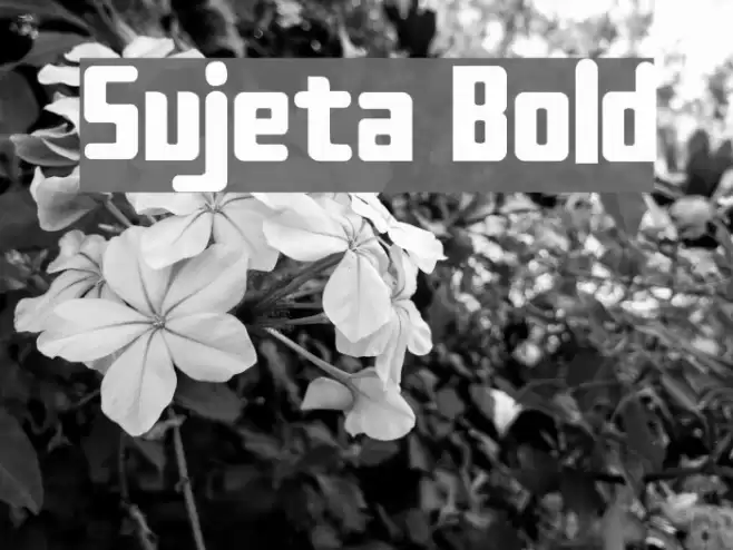 Sujeta Bold フォント examples