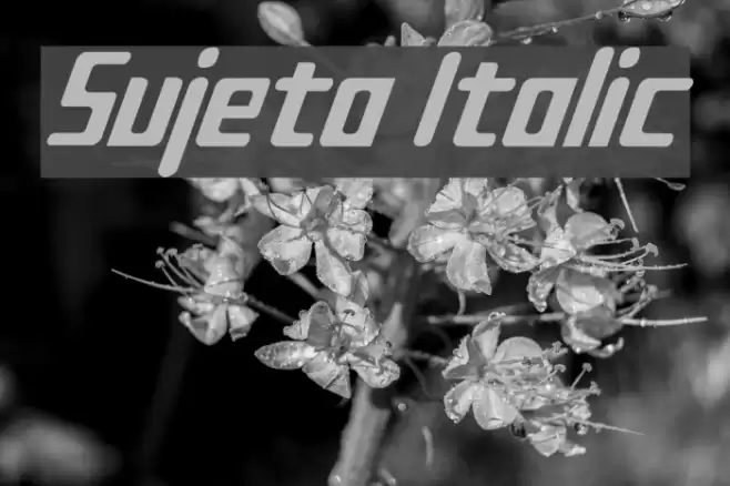 Sujeta Italic Font examples
