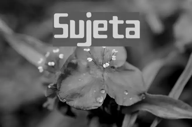 Sujeta フォント examples