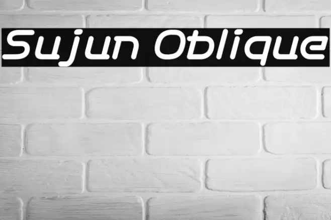 Sujun Oblique Font examples