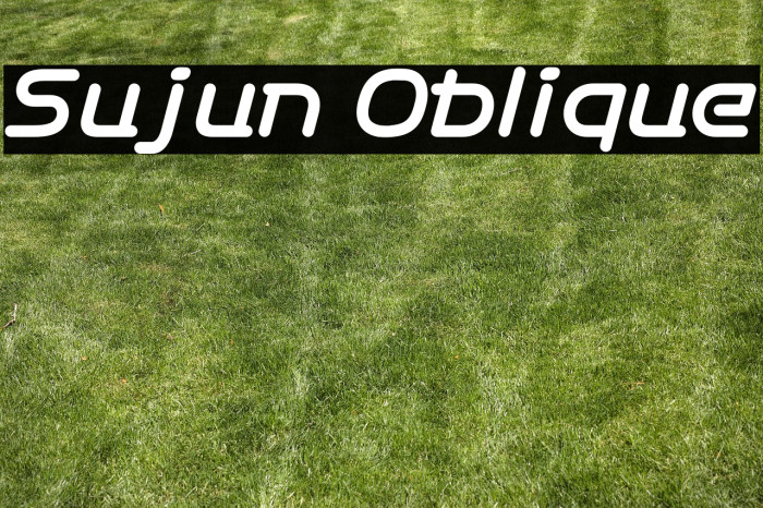 Sujun Oblique Example 2