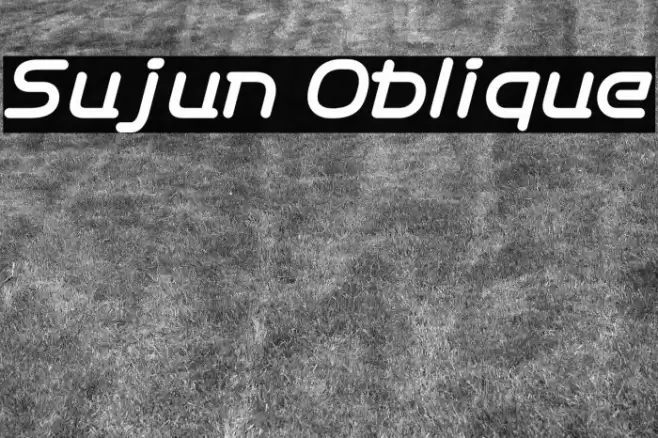 Sujun Oblique Font examples