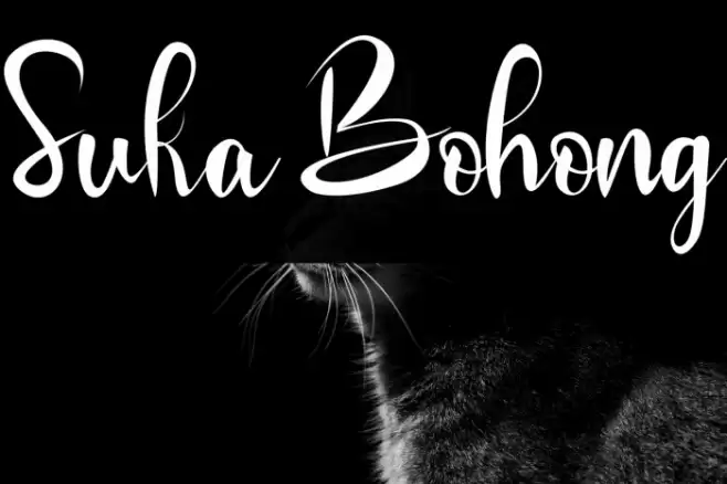 Suka Bohong Font examples