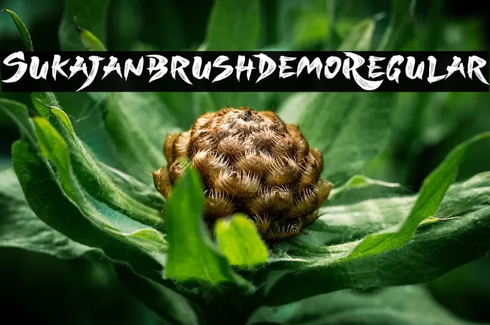 Sukajan Brush Demo Regular Example 1