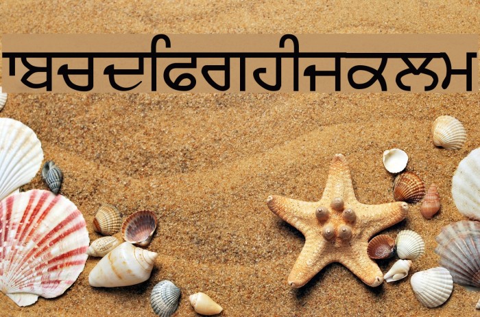 Sukhmani Font examples