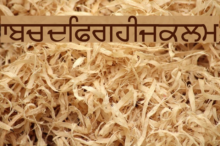 Sukhmani Font examples