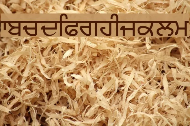 Sukhmani Example 2