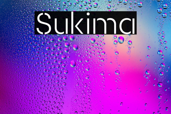 Sukima Example 3