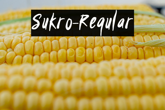 Sukro-Regular Example 1