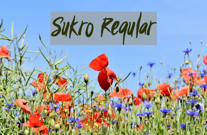 Sukro Regular Example 2