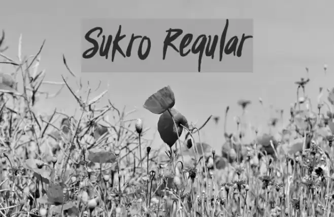Sukro Regular Font examples