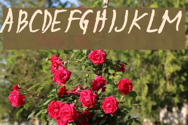 Sulatko Example 1