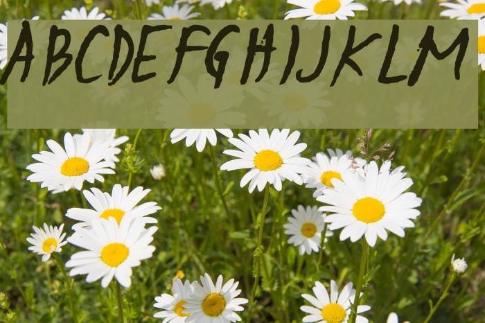 Sulatko Font examples