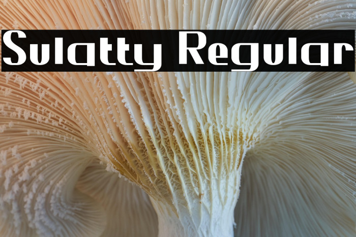 Sulatty Regular Example 3