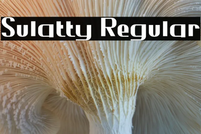 Sulatty Regular Example 3