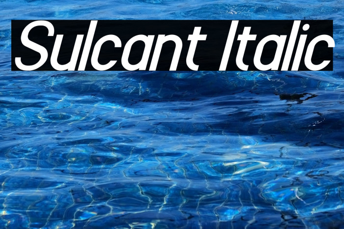 Sulcant Italic Example 1