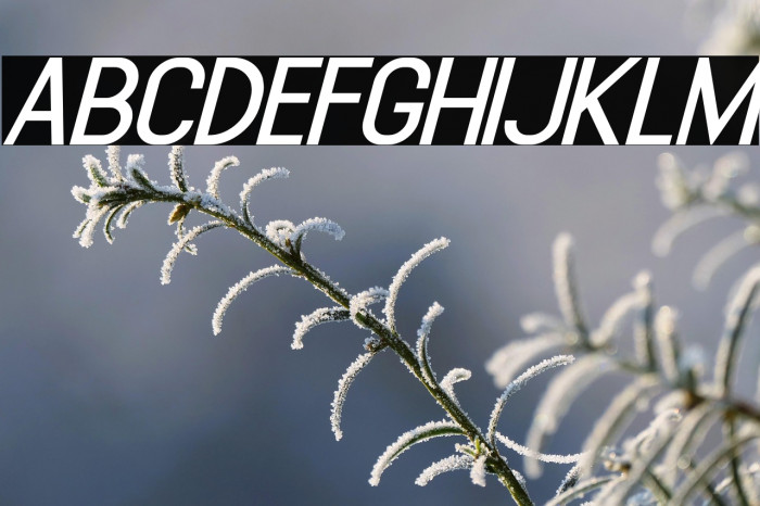 Sulcant-Italic Example 2