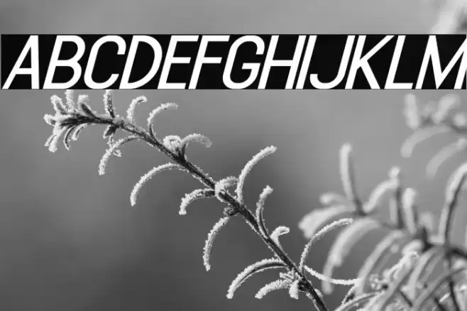 Sulcant-Italic Font examples