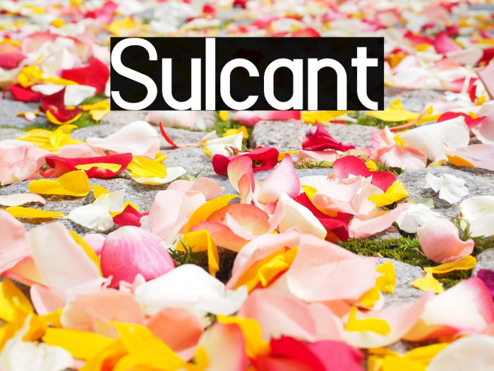 Sulcant Example 1