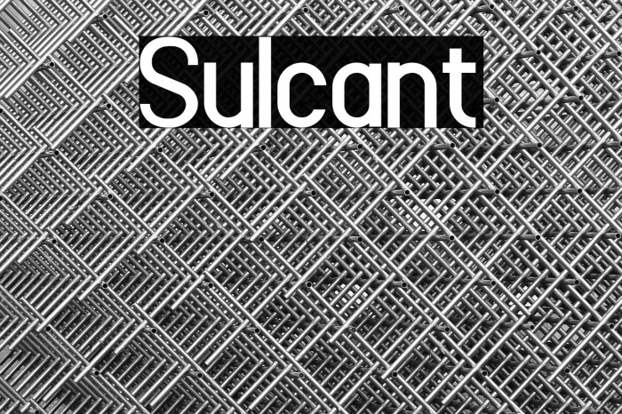 Sulcant Example 2