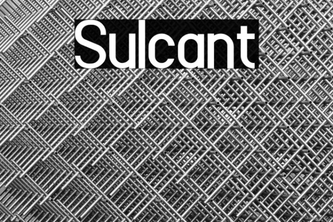 Sulcant Example 2
