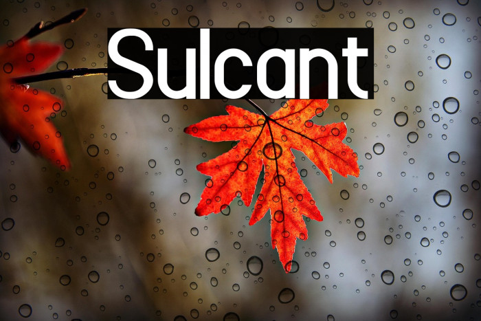 Sulcant Example 3