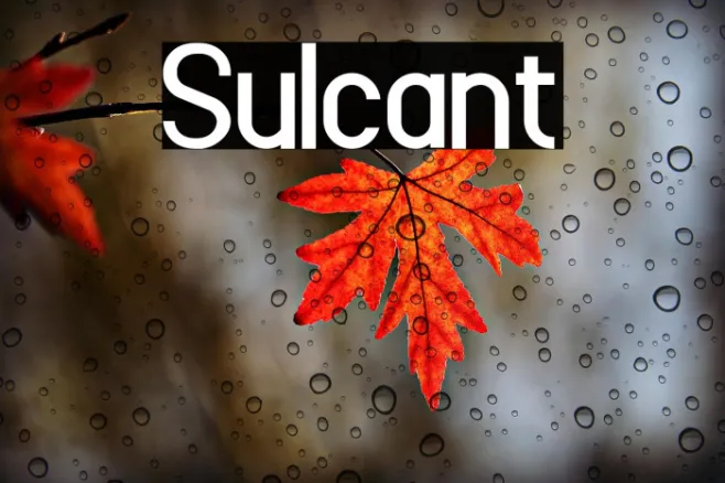 Sulcant Example 3