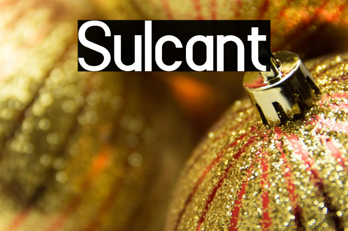 Sulcant Example 1