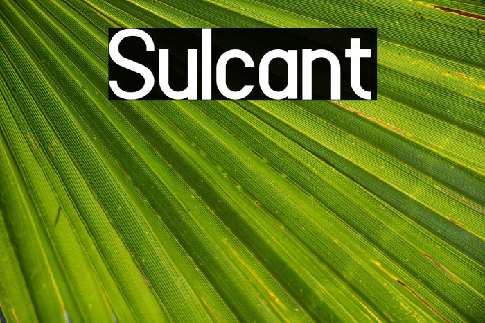 Sulcant Example 2