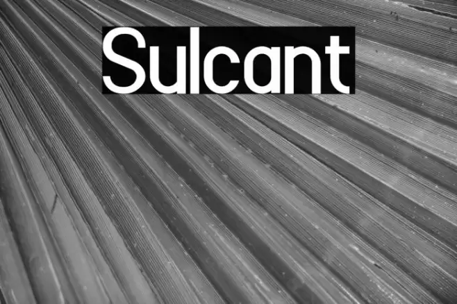 Sulcant Font examples