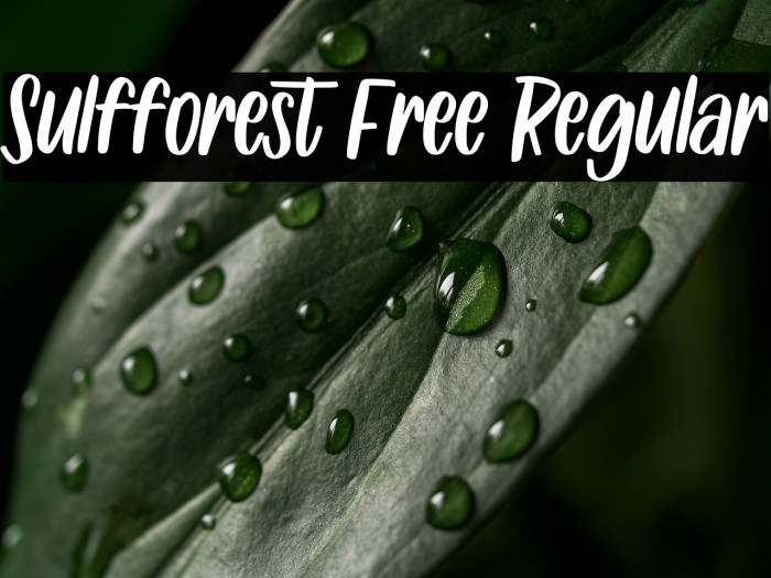 Sulfforest Free Regular Example 1