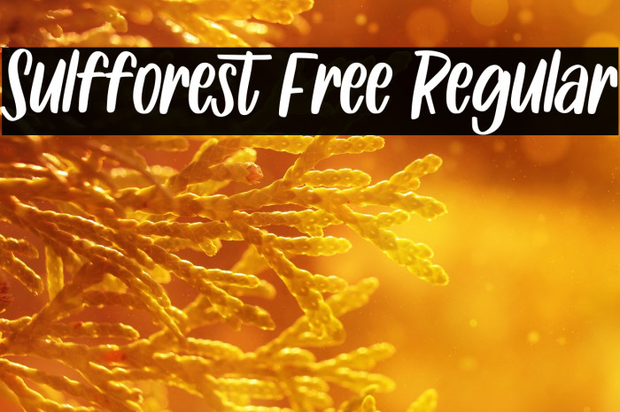 Sulfforest Free Regular Example 3