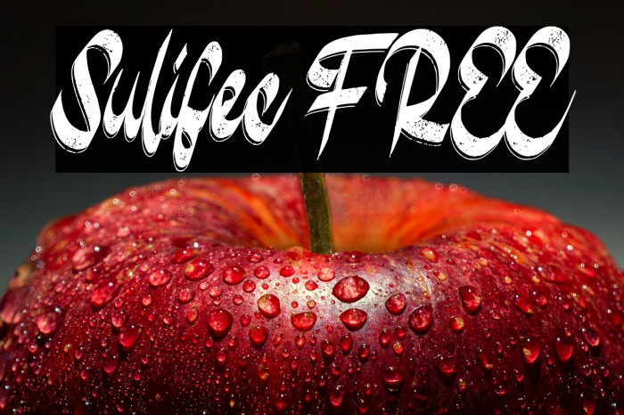 Sulifec FREE Example 3