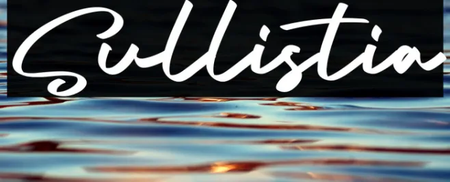 Sullistia Example 3
