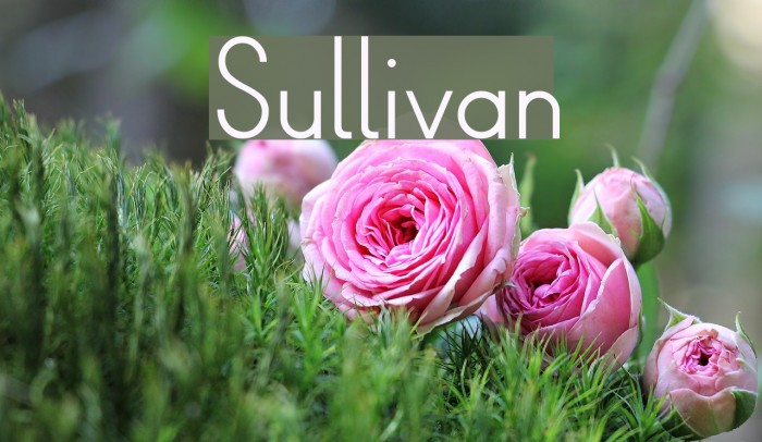 Sullivan Font examples
