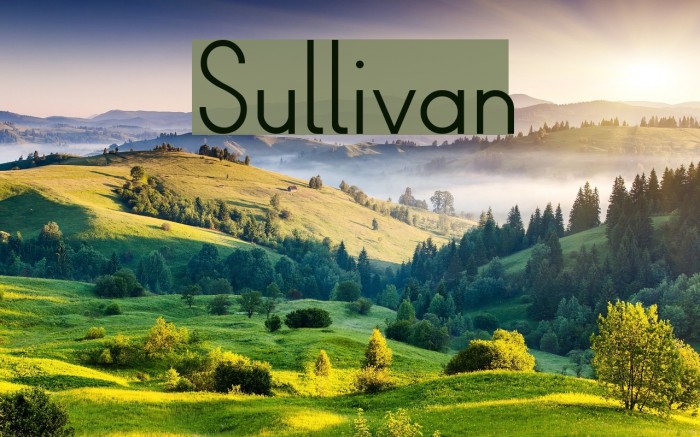 Sullivan Font examples