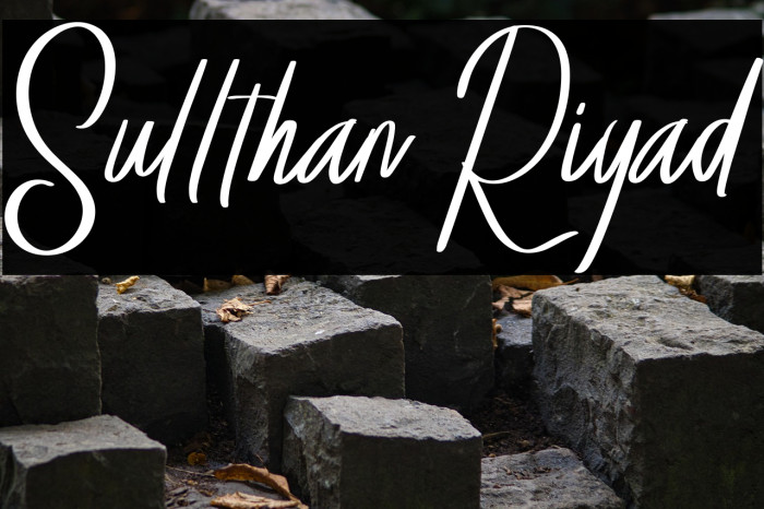 Sullthan Riyad Example 1