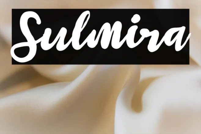 Sulmira Example 2