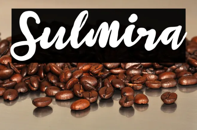 Sulmira Example 3