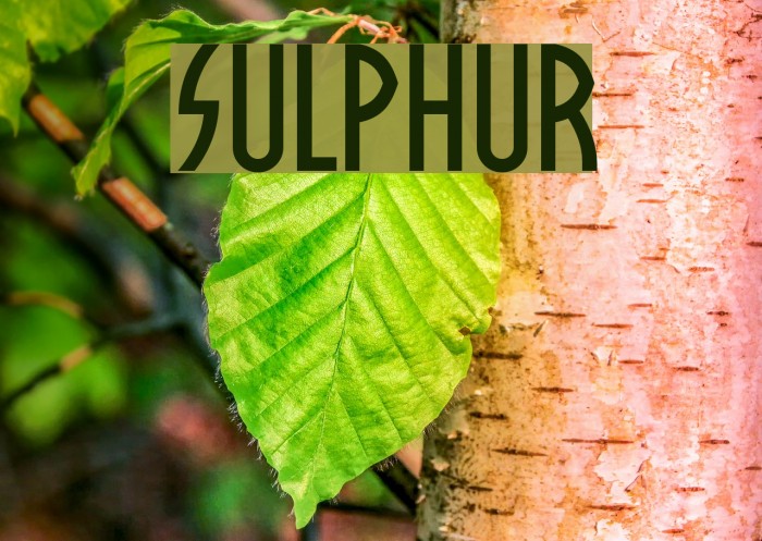 Sulphur Fuentes examples