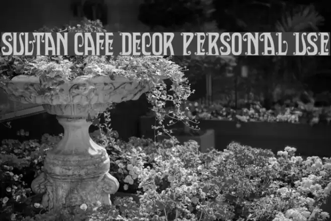 Sultan Cafe Decor PERSONAL USE Caratteri examples