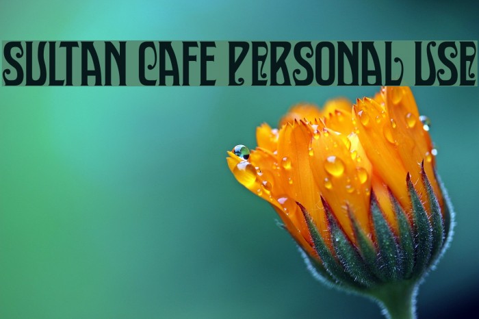 Sultan Cafe PERSONAL USE Font examples