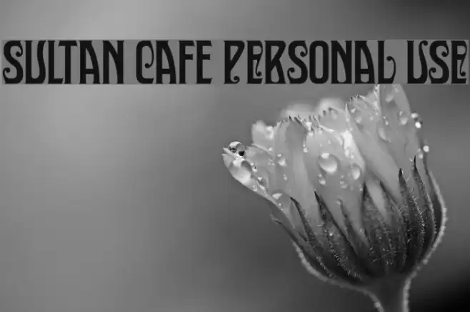 Sultan Cafe PERSONAL USE Font examples