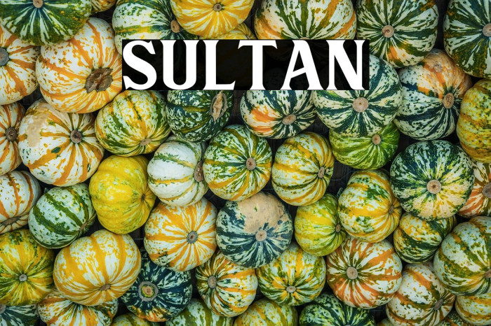 Sultan Example 1