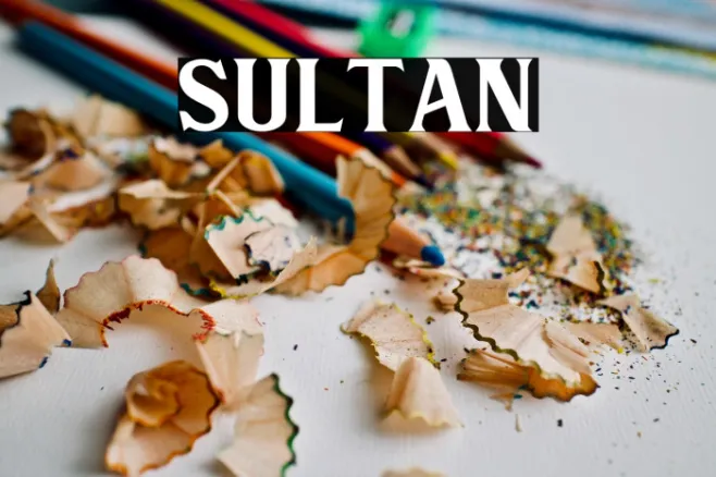 Sultan Example 2