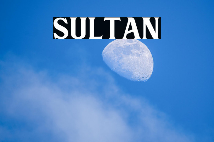 Sultan Example 3