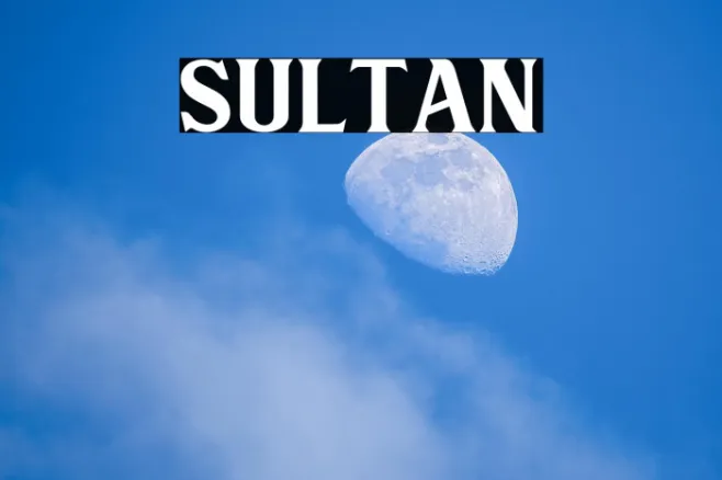 Sultan Example 3