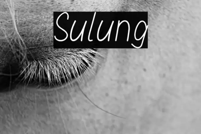 Sulung Font examples