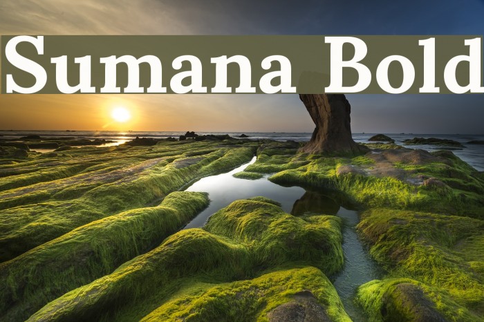 Sumana Bold Font examples