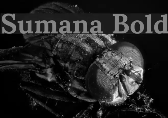Sumana Bold Fonte examples
